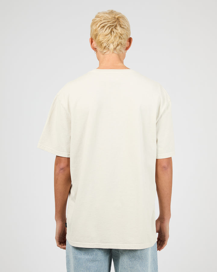 4076023.BONE_3_1768532502000
